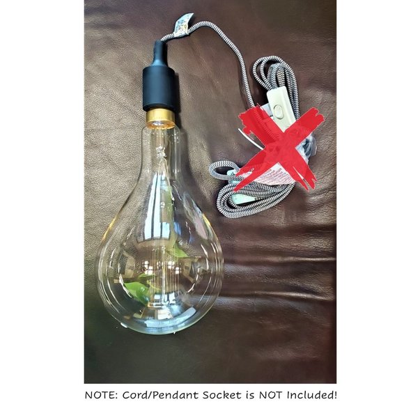 GINORMOUS Vintage-Style Edison Bulb - Picture 6 of 10